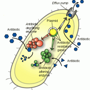 resistancemechanisms