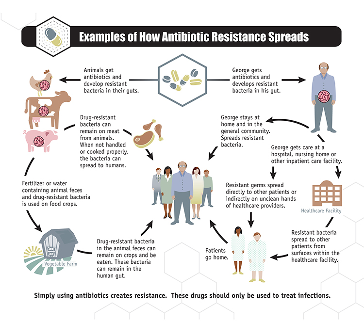 2-how_antibiotic_resistance_spreads-1