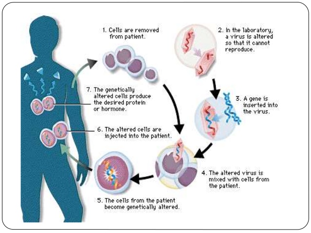 gene-therapy-exploring-the-scientific-world